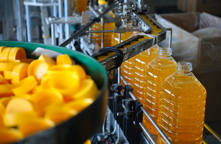 Фото: Правительство Приморского края