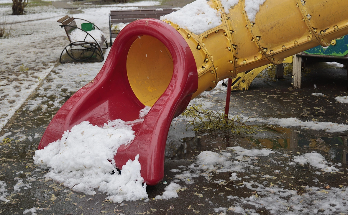 Михаил Гребенщиков / РБК