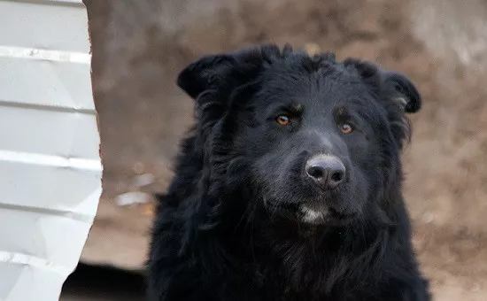  Анастасия Макарычева/РБК