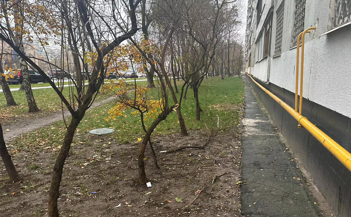 Moscowproc / Telegram