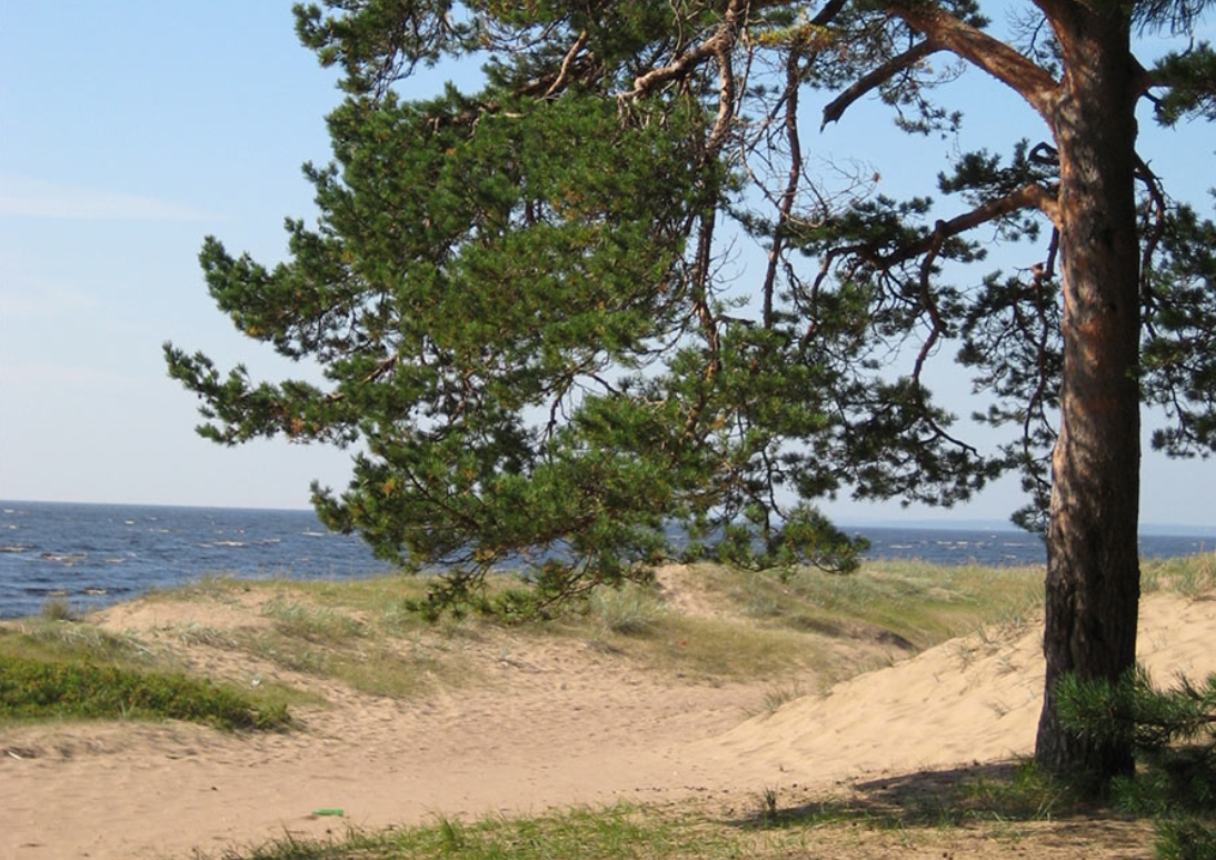 Фото: oopt.spb.ru