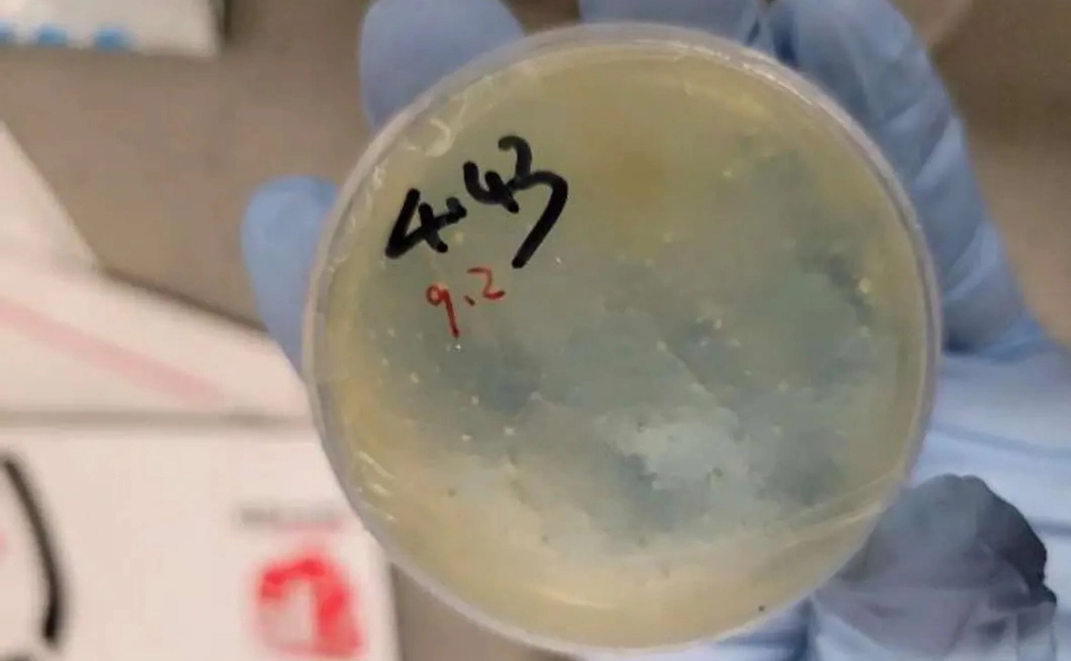 US District Court for the Eastern District of Michigan