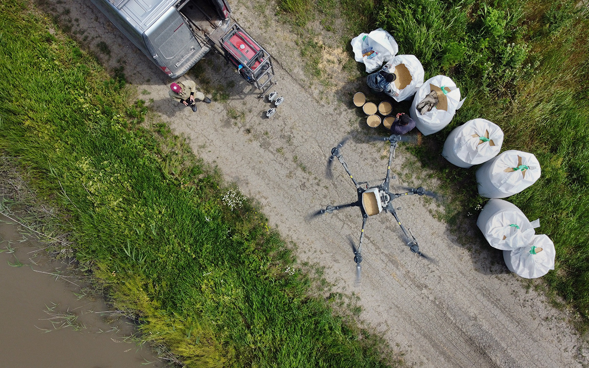 Посев риса при помощи дрона, Краснодарский край