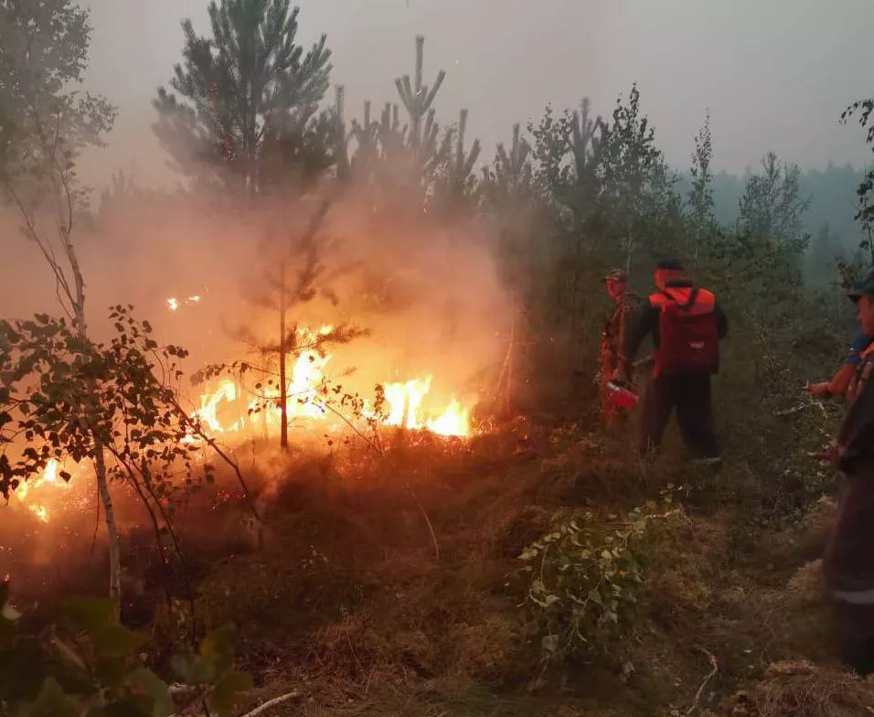 Пресс-служба правительства Нижегородской области