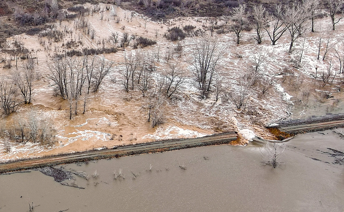 Егор Алеев / ТАСС