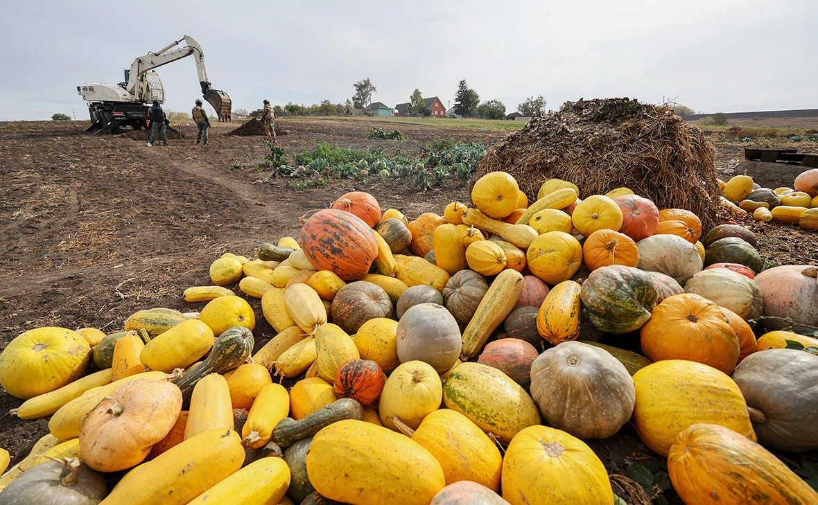 Михаил Климентьев / ТАСС