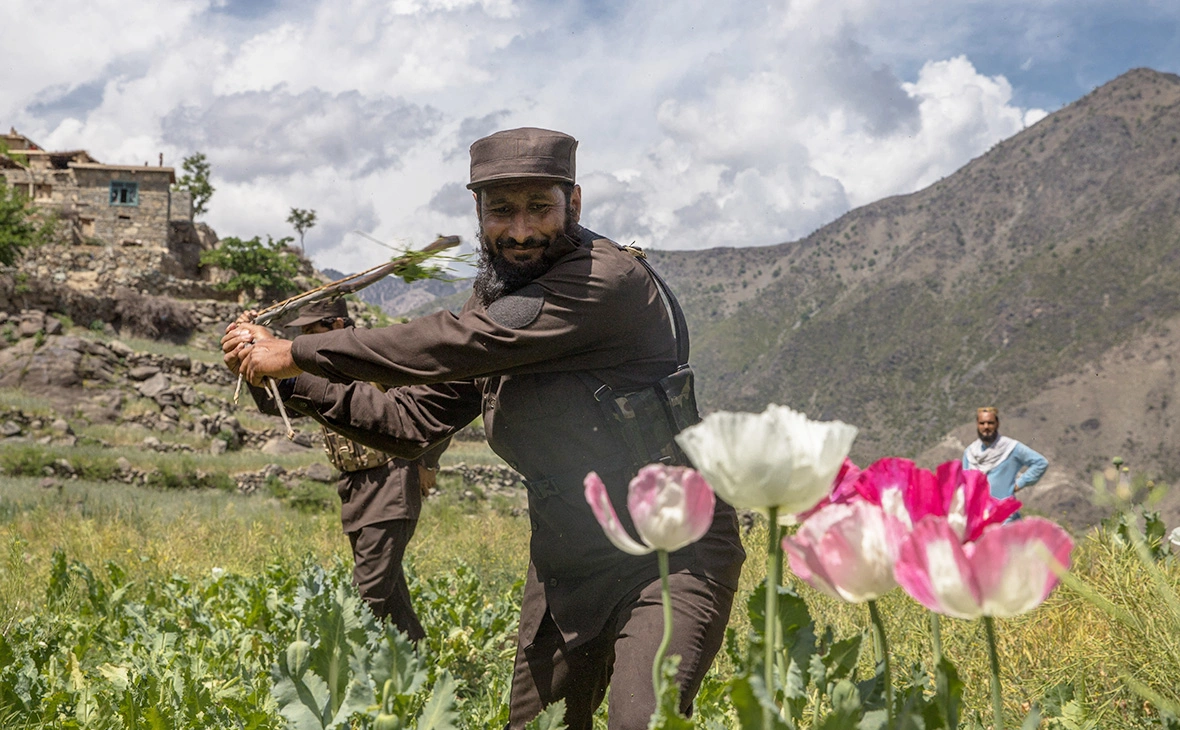 Zerah Oriane / ABACA / ТАСС