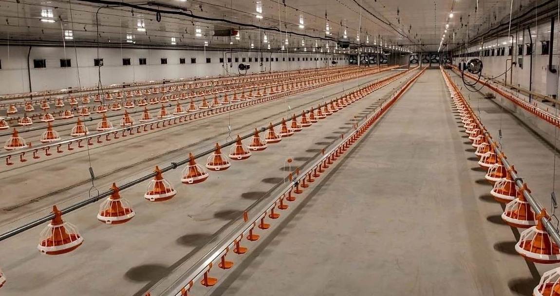 Семь сотрудников Павловской птицефабрики получили травмы