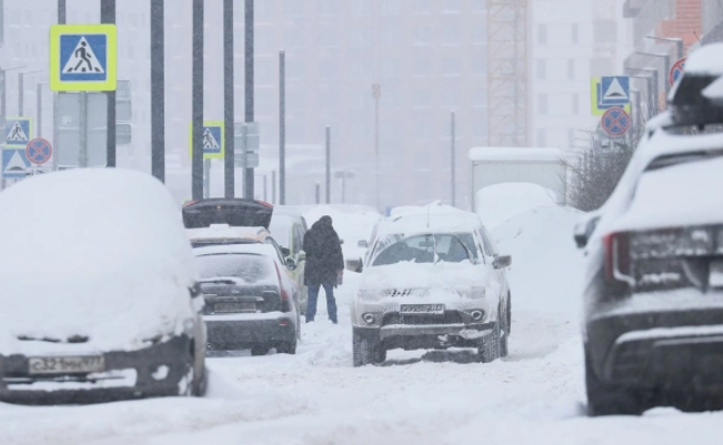 Андрей Любимов / РБК