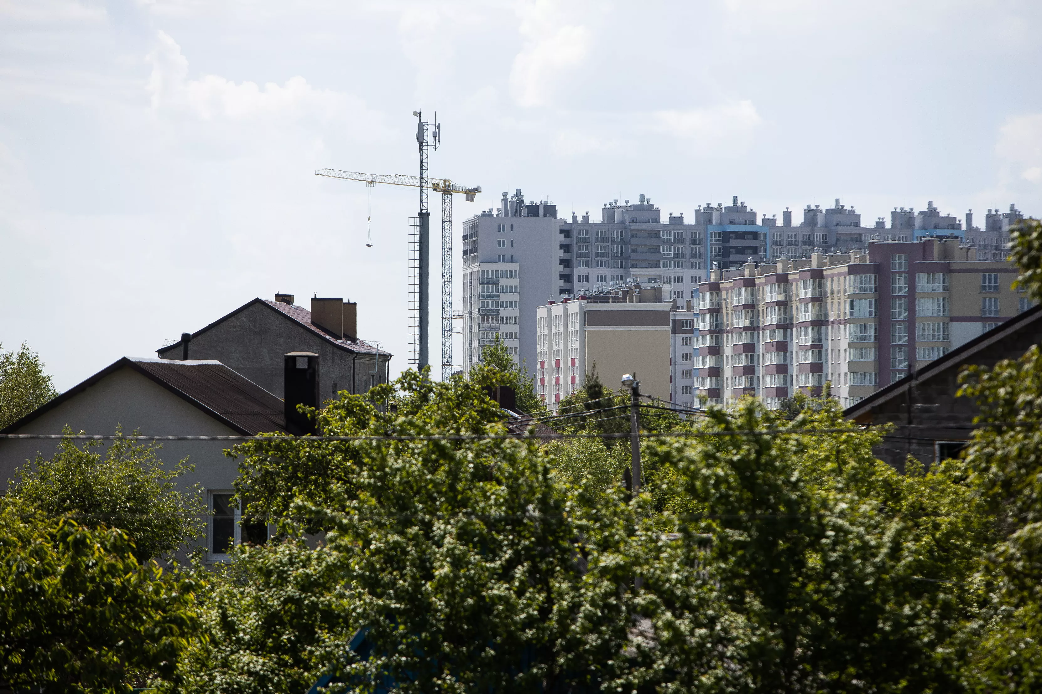 Александр Подгорчук