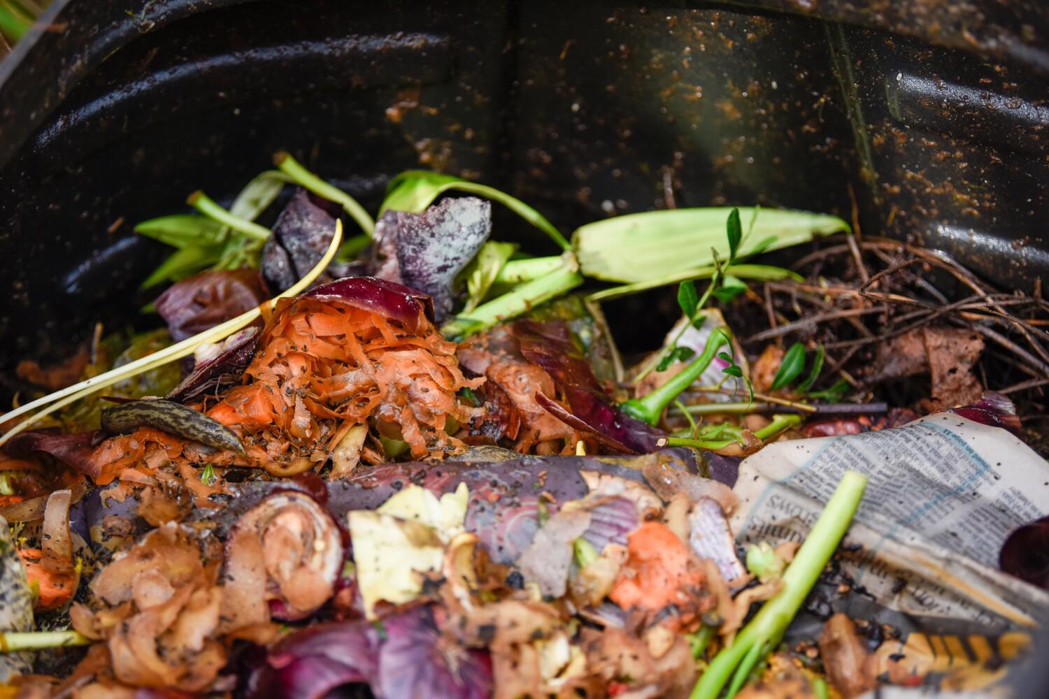 В компостную яму лучше всего класть органические отходы