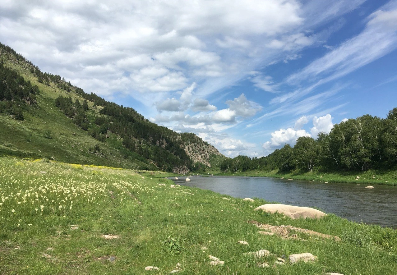 РБК Новосибирск