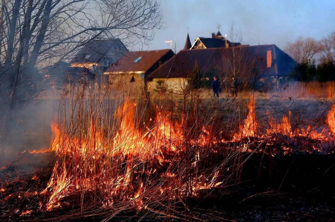 РБК Приморье