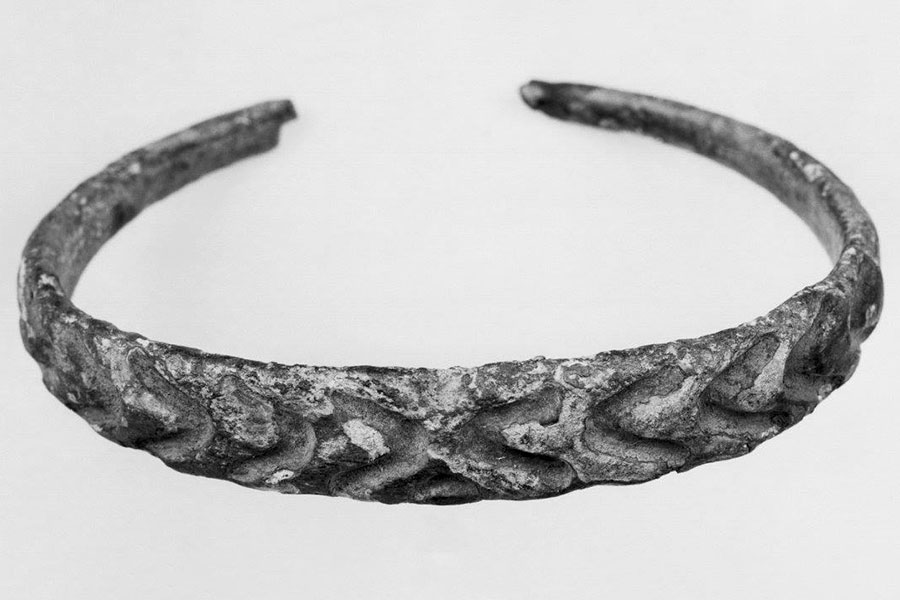 Фото: Mittmuseum / Facebook (входит в корпорацию Meta, признана экстремистской и запрещена в России)