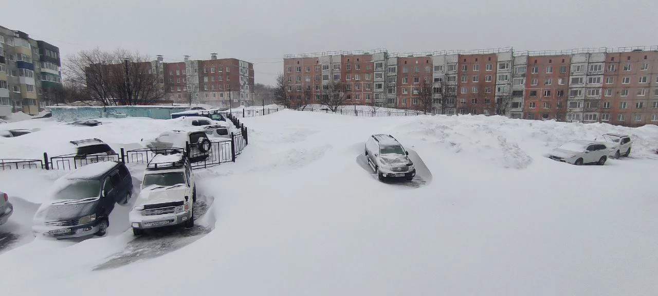 pkgo_official_telegram