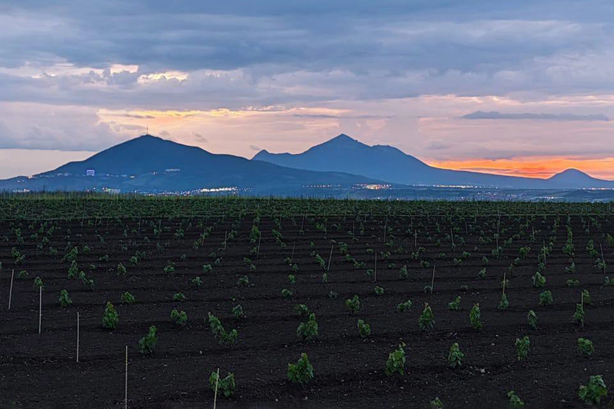 Винодельня Ferrum Winery