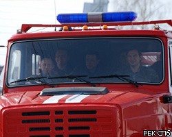 В Петербурге сгорели машины в автомастерской