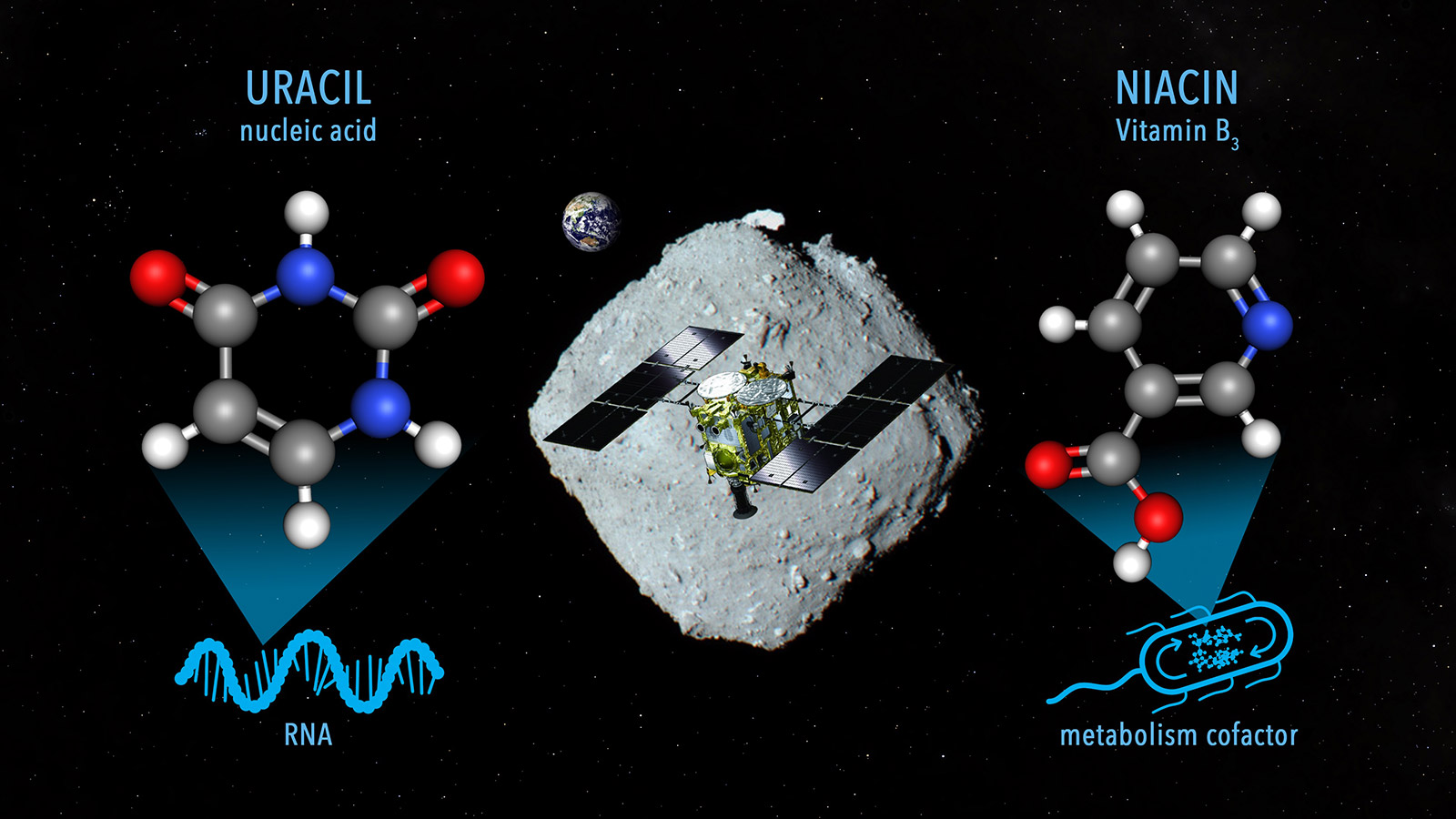 <p>Компьютерная модель астероида Рюгу&nbsp;и аминокислот в образцах его грунта</p>