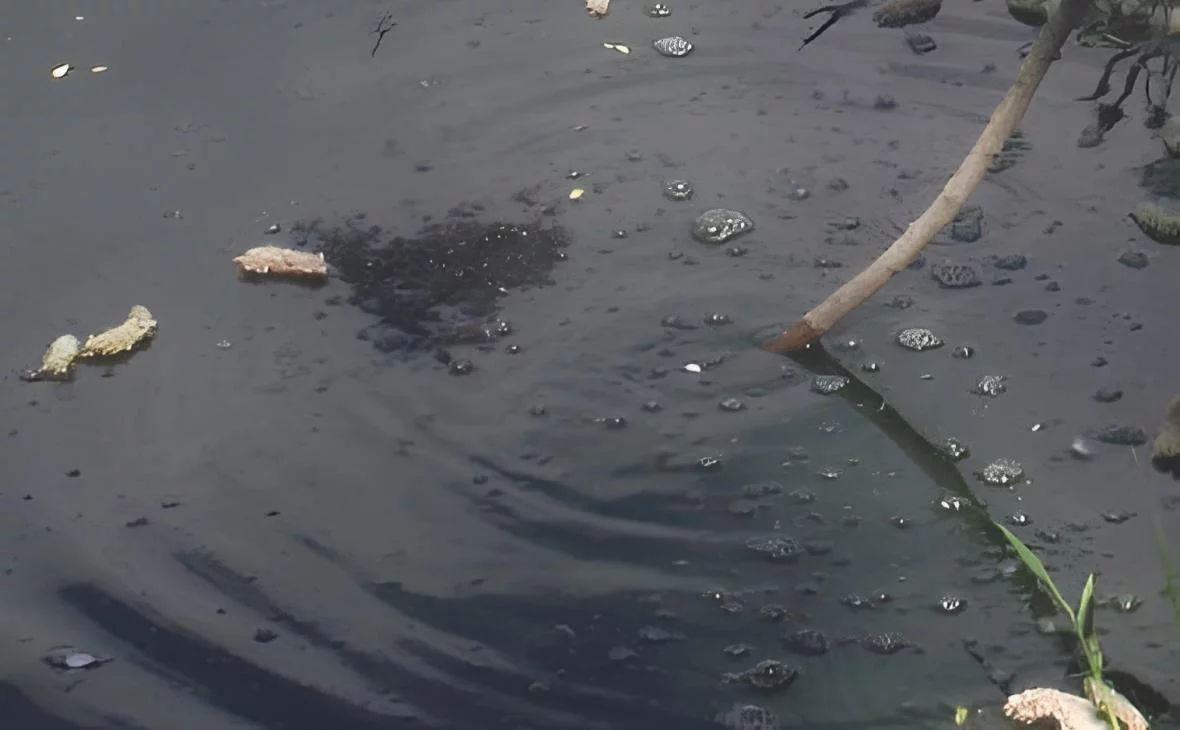 РБК Черноземье