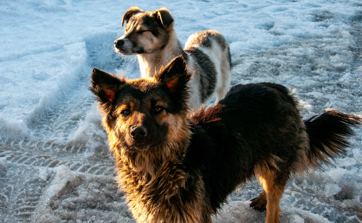 Светлана Возьмилова / Global Look Press