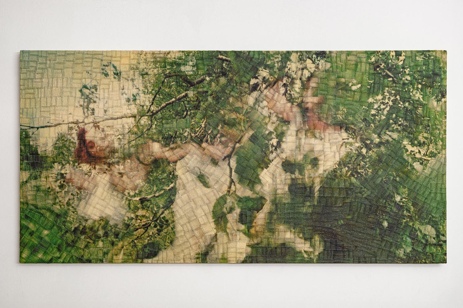 Евгений Шишкин. Virgin Territory #3. 2025