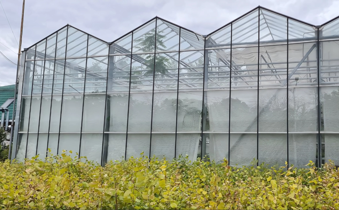 РБК Черноземье