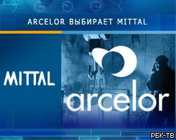 Правительство Люксембурга одобрило слияние Arcelor и Mittal Steel