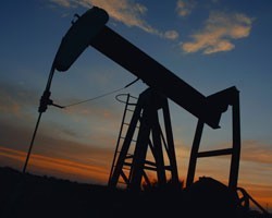 Венесуэла готова участвовать в приватизации белорусской нефтянки