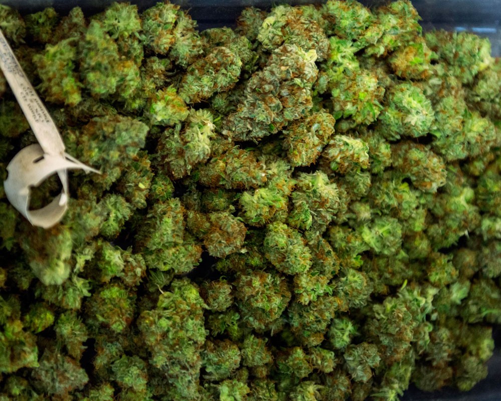Колорадо продажа марихуаны тор браузер трава hyrda