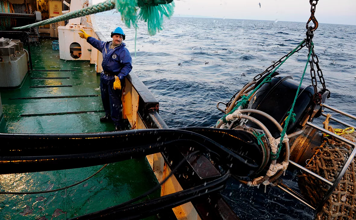 Андрей Зима / РИА Новости