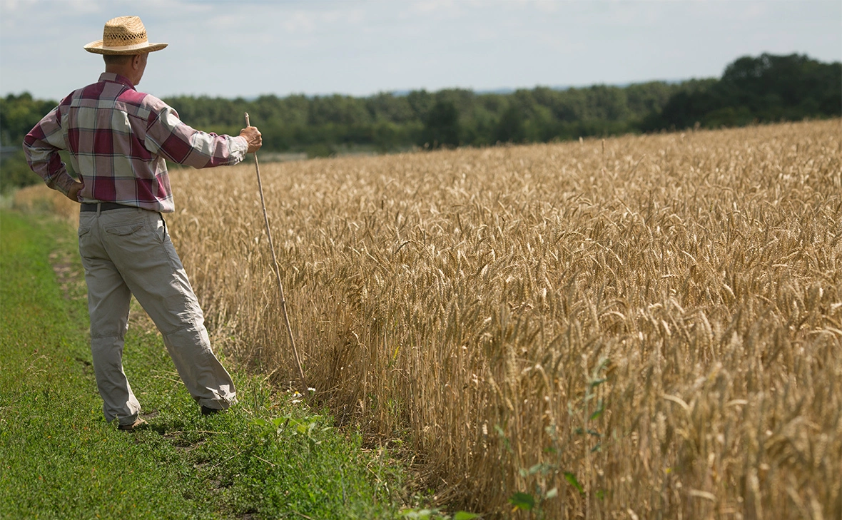 Николай Гынгазов / Global Look Press