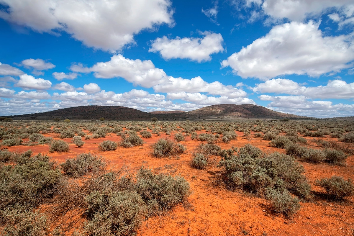 Южная Австралия, пустыня с кустарниками и холмами