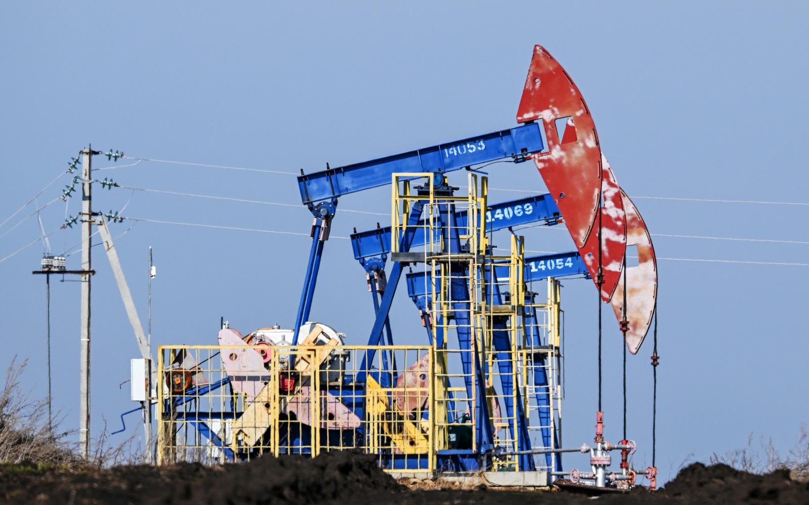 Фото: Максим Богодвид / РИА Новости