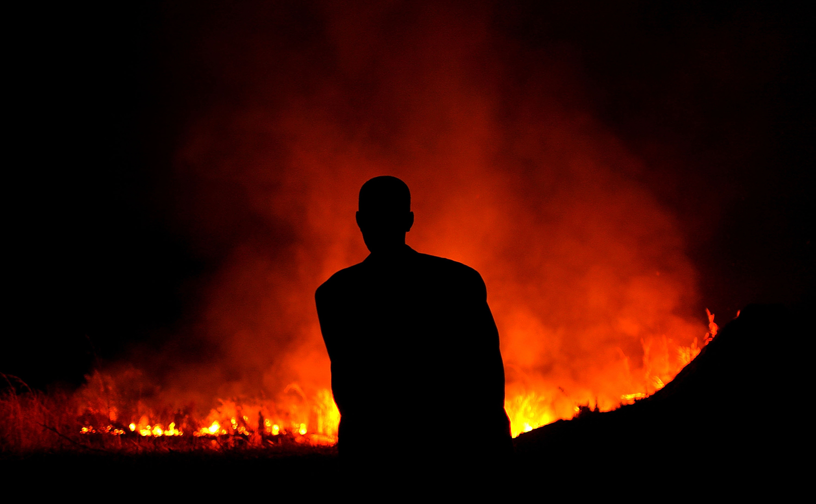 Фото: Spencer Platt / Getty Images