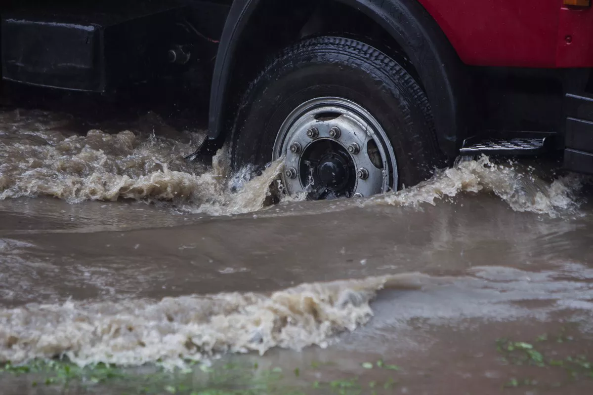Александр Подгорчук