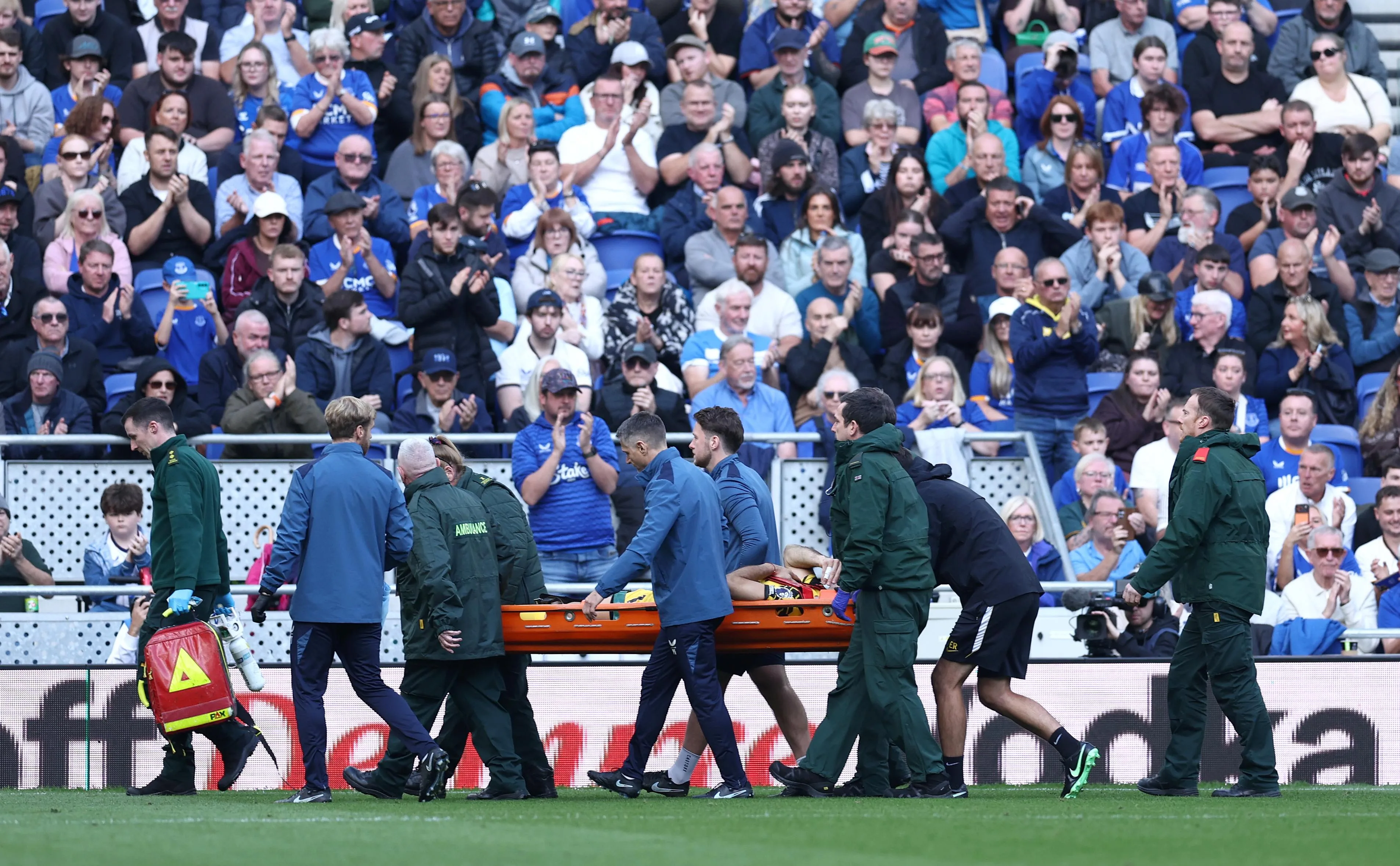 Molly Darlington / Getty Images