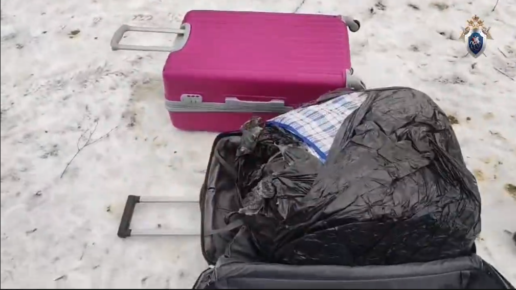 Фото: ГСУ СК России по г. Санкт-Петербургу