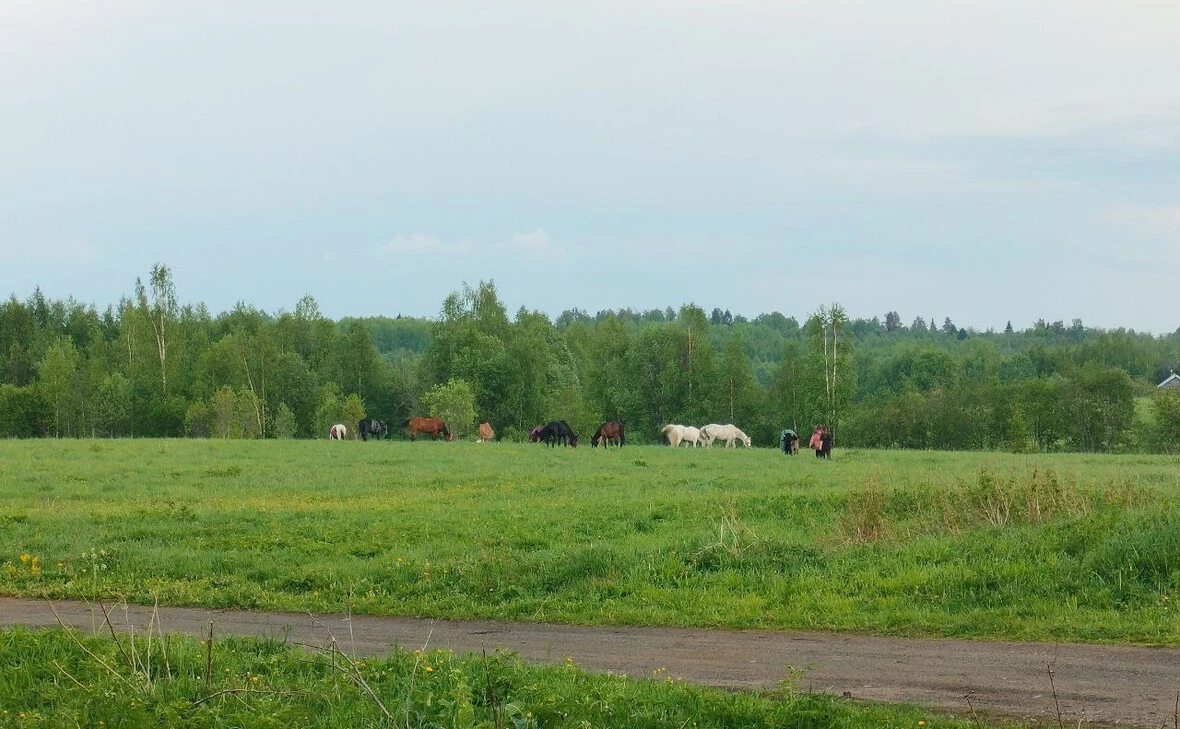 РБК Карелия