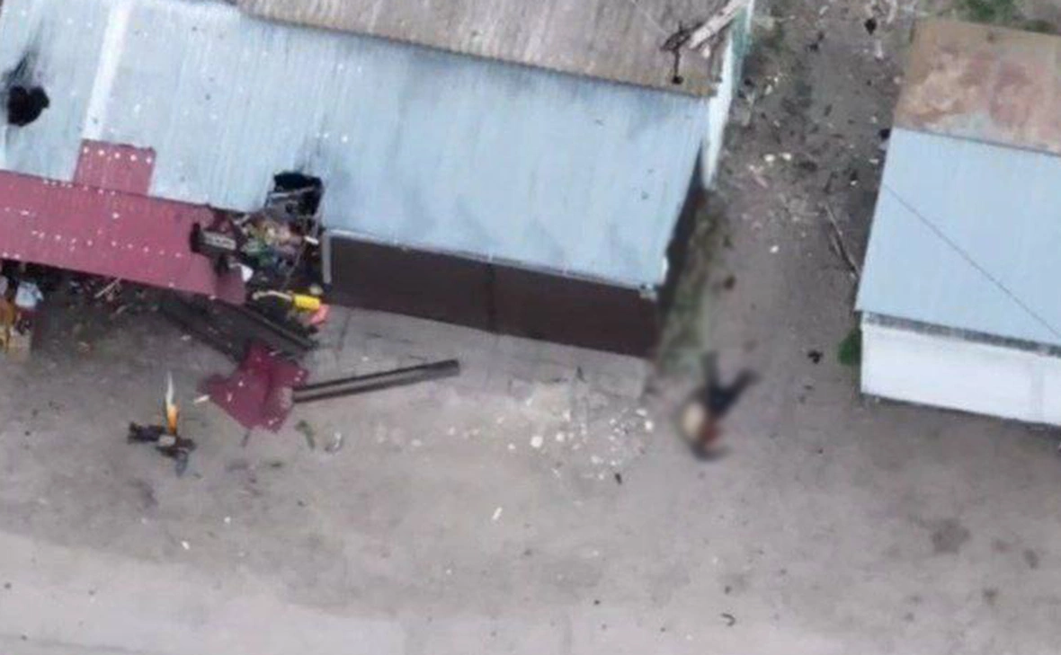 SALDO_VGA / Telegram