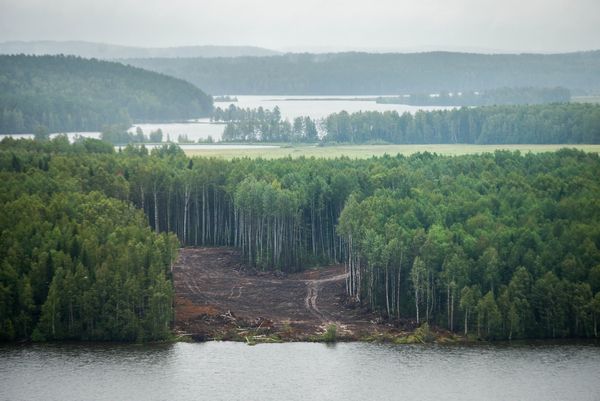 Фото: РИА URA.Ru  