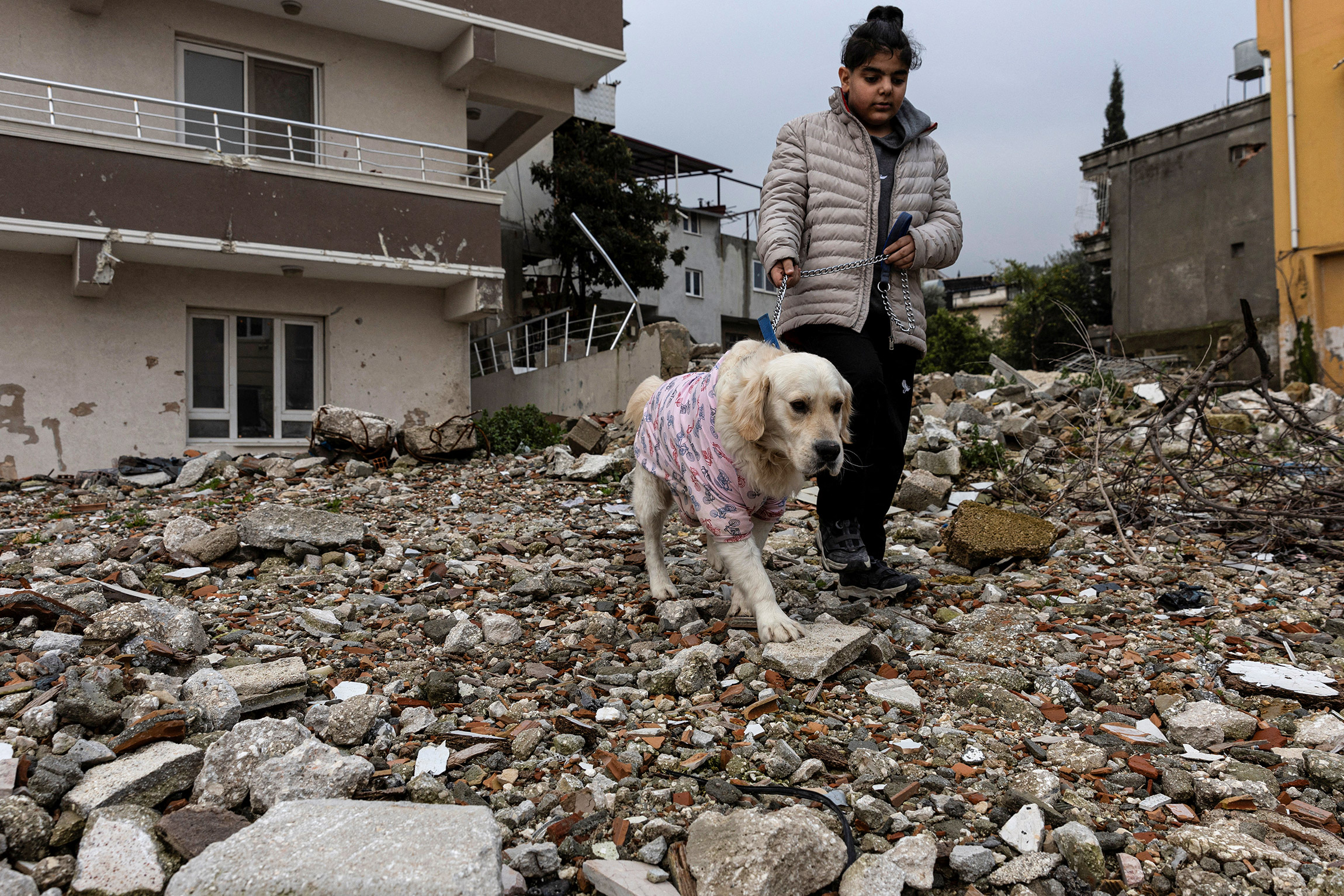 Чинара Тамгучук гуляет со своей собакой Буфи, которая была найдена под завалами пекарни через несколько дней после землетрясения, 5 февраля. Прежние владельцы собаки погибли в рухнувшем здании.