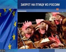Европа готовится объявить бойкот птицам из России 