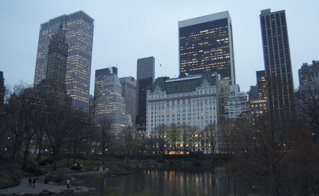 Вид на Центральный парк в Нью-Йорке