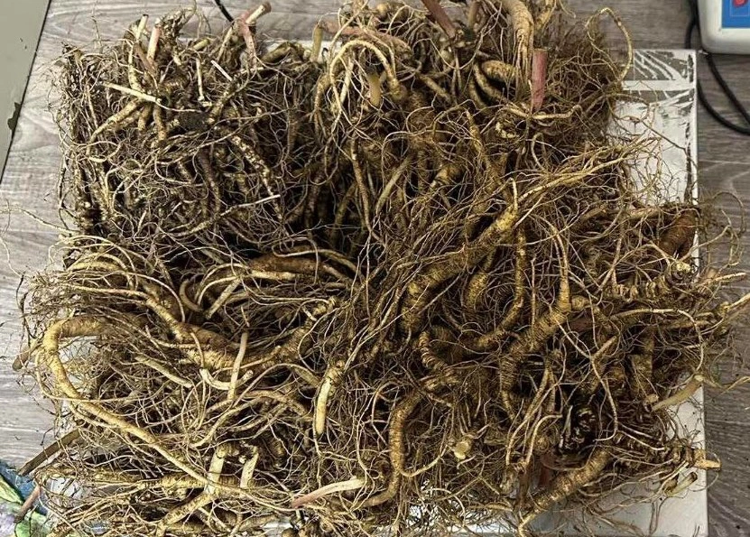 Уссурийская таможня