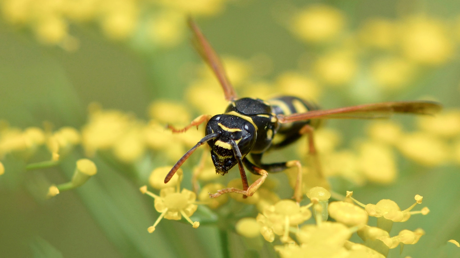 F.Demonsant / Shutterstock / FOTODOM 