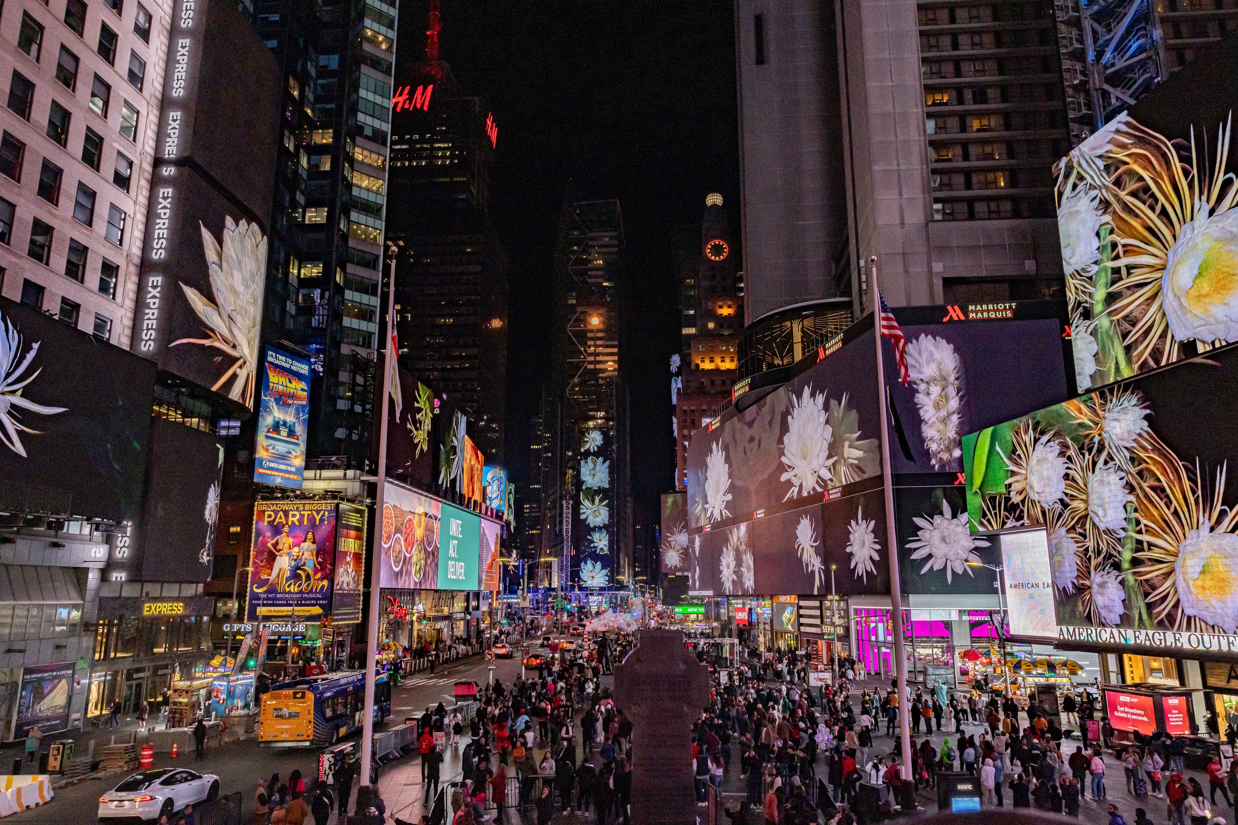 Презентация проекта Circadian Nocturne на Тайм-сквер