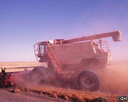 Правительство проведет интервенции на рынке пшеницы и ржи