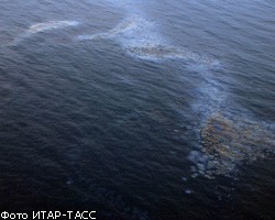 В Северное море вылилось около 100 тонн нефти