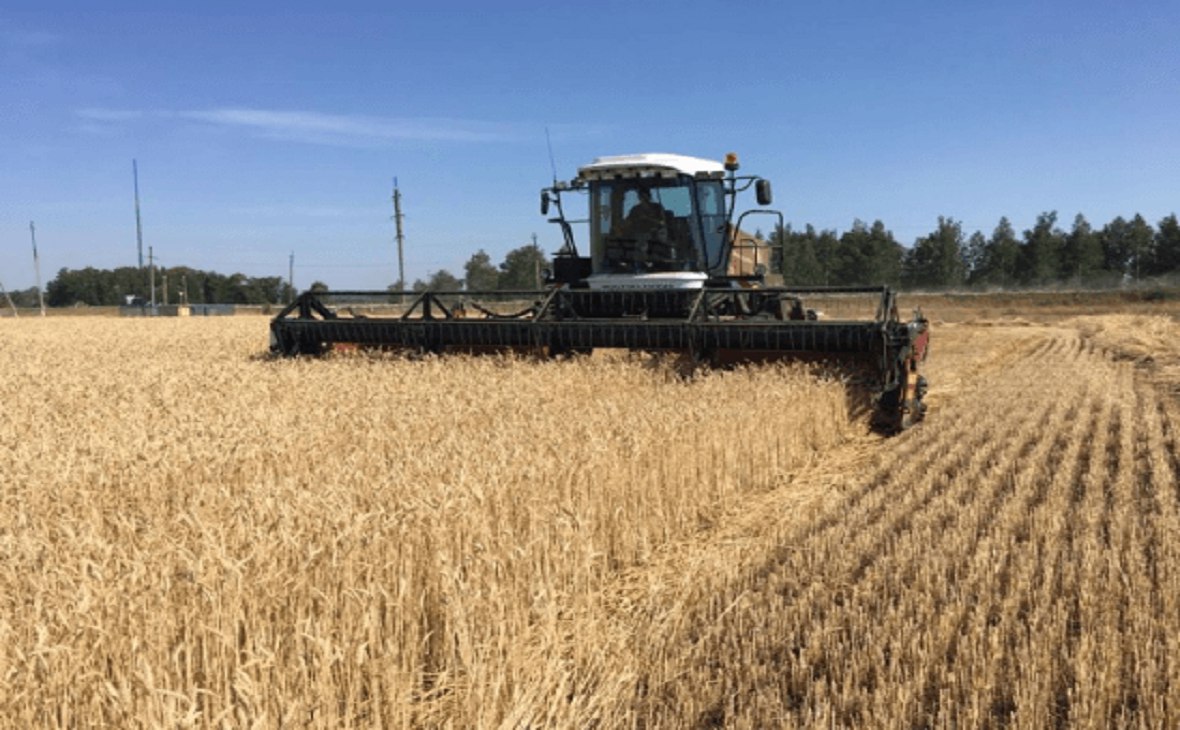 Урожай зерновых в Башкирии превысит 5 млн тонн