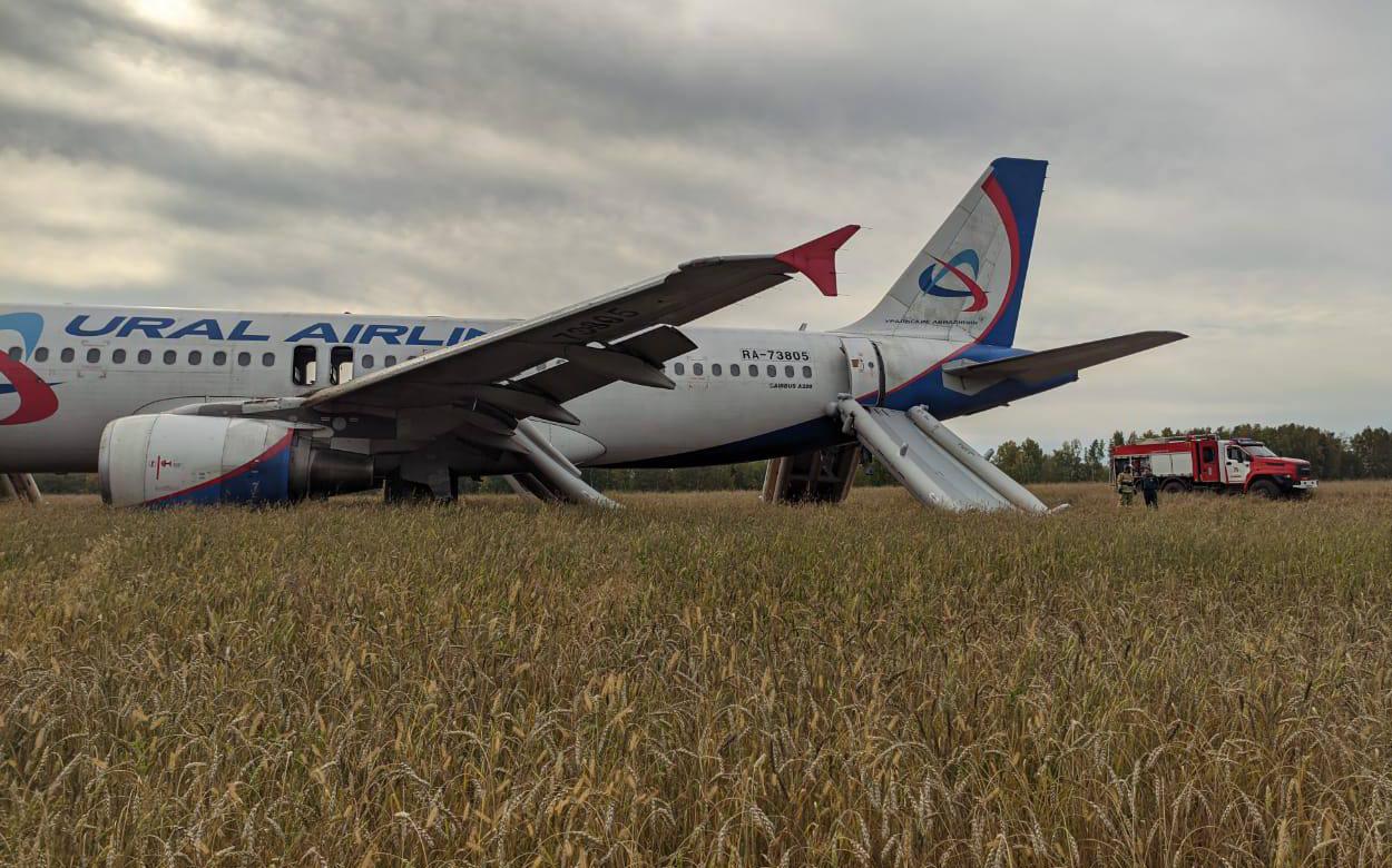 Самолет «Уральских авиалиний» сел в поле в Новосибирской области